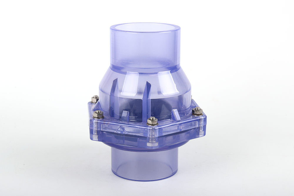 如皋透明翻板式止回阀